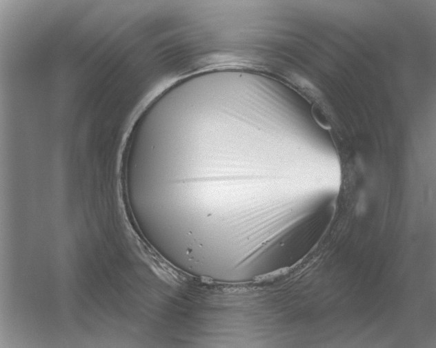 X0000054421427200508192045