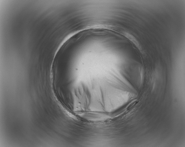 X0000054421428200508192045