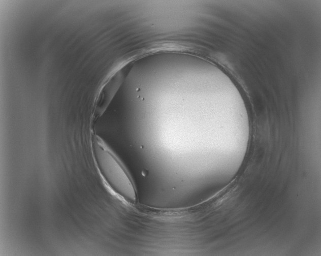 X0000054421433200508192046