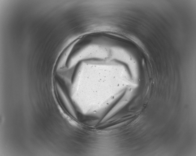 X0000054421439200508192046