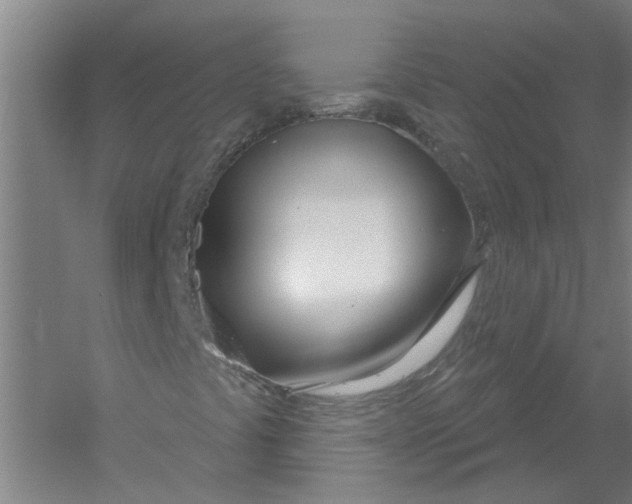X0000054421441200508192045