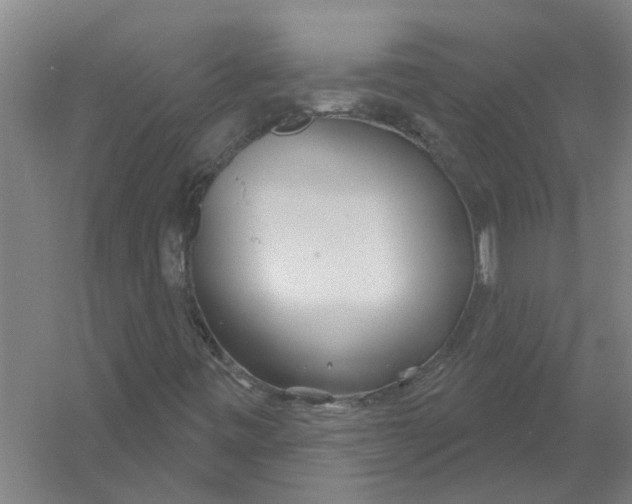 X0000054421443200508192045