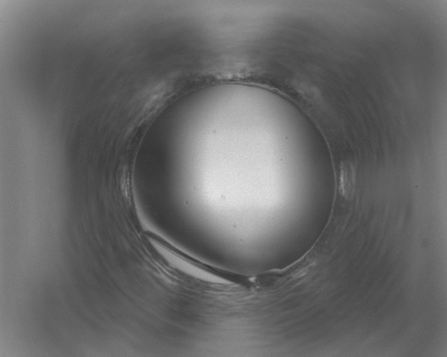 X0000054421444200508192045