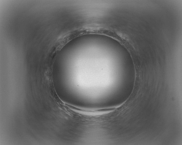X0000054421445200508192045