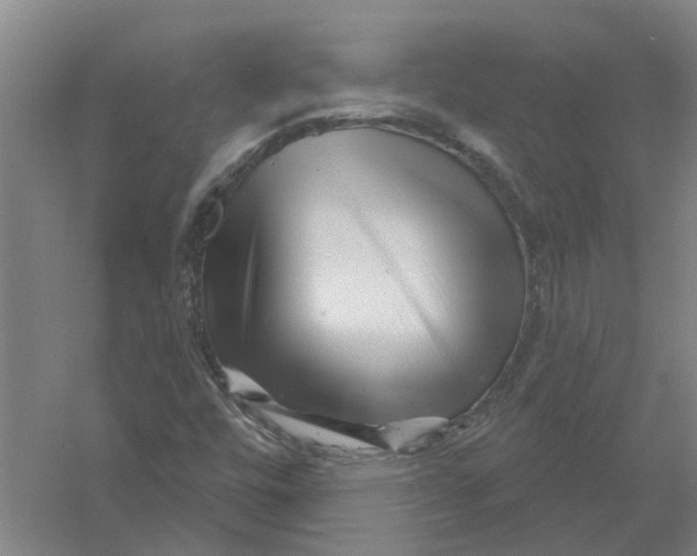 X0000054421448200508192045