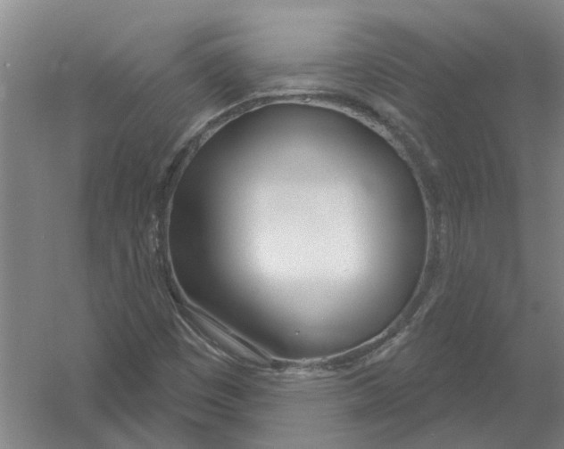 X0000054421449200508192045