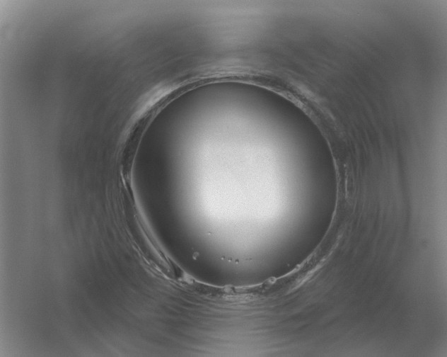 X0000054421453200508192045