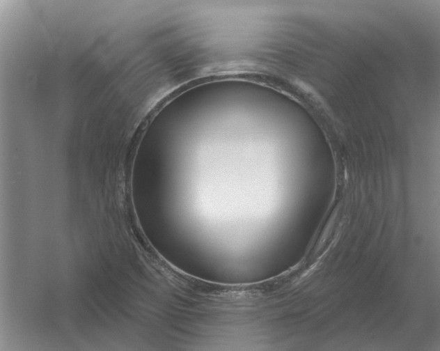 X0000054421457200508192045