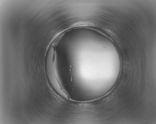 X0000054421465200508192044