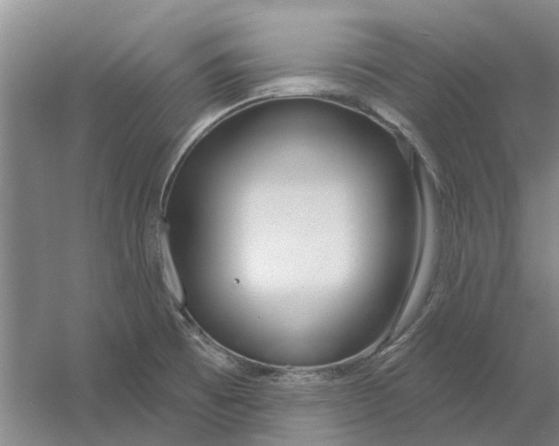 X0000054421473200508192044