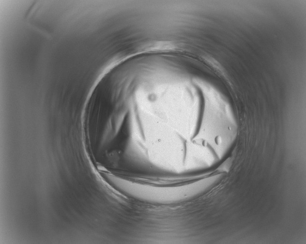 X0000054421475200508192044