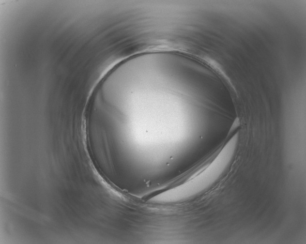 X0000054421476200508192044