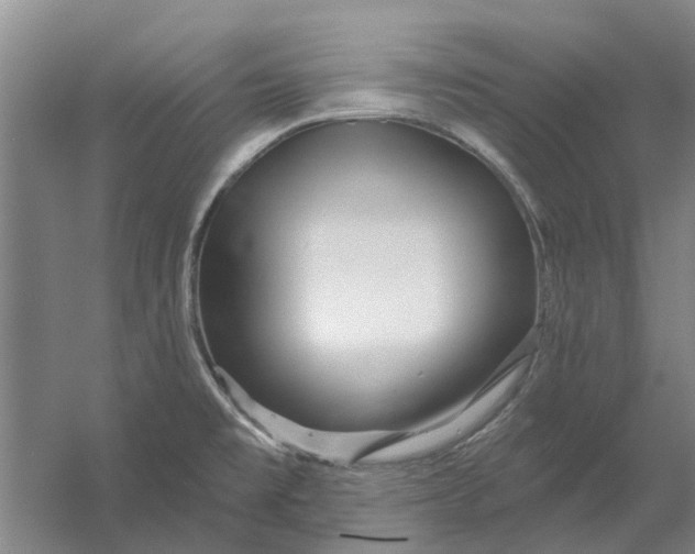 X0000054421477200508192044