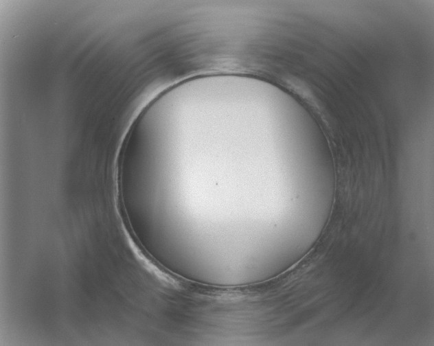 X0000054421479200508192044