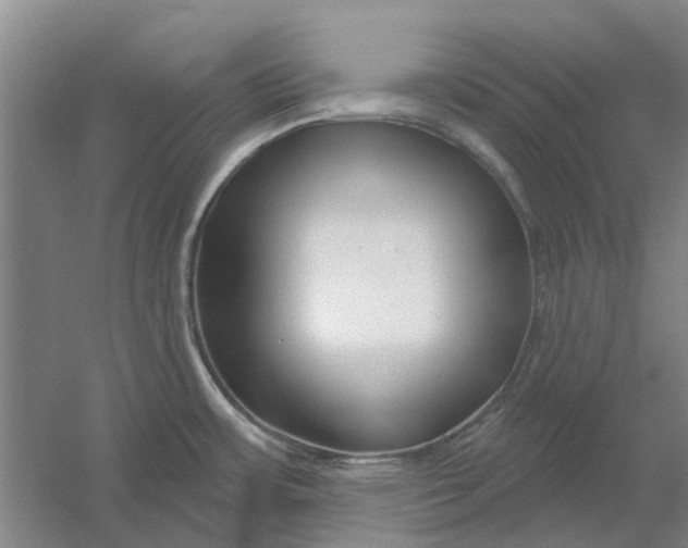 X0000054421483200508192044