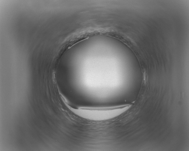 X0000054421492200508192043
