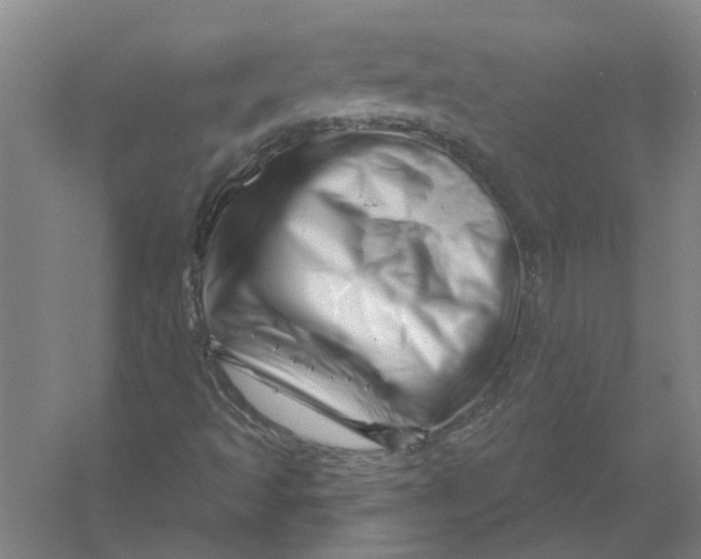 X0000054421493200508192043