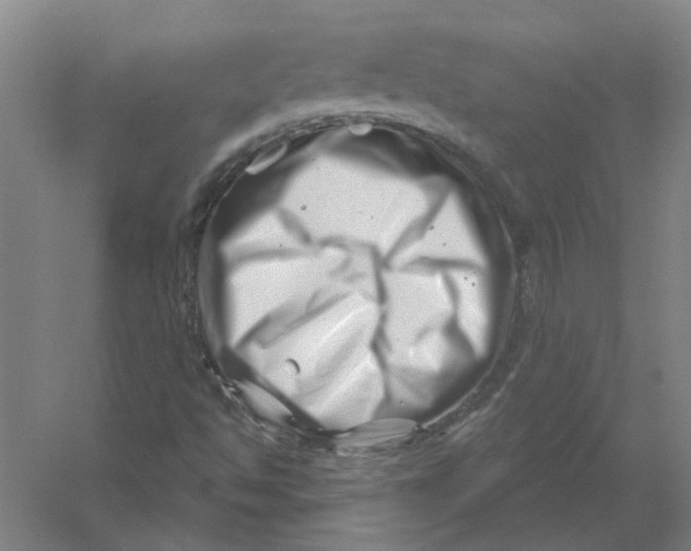 X0000054421494200508192043