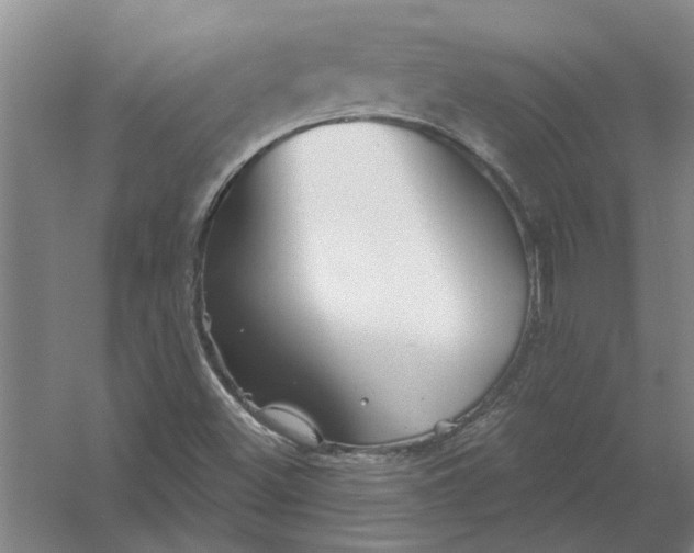 X0000054421500200508192043