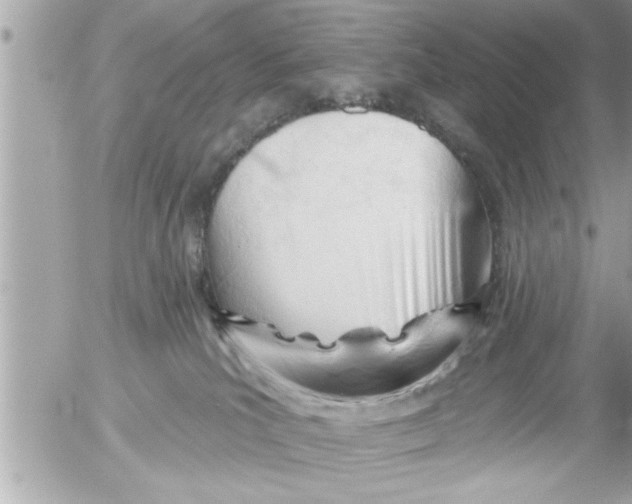 X0000054420039200508262333