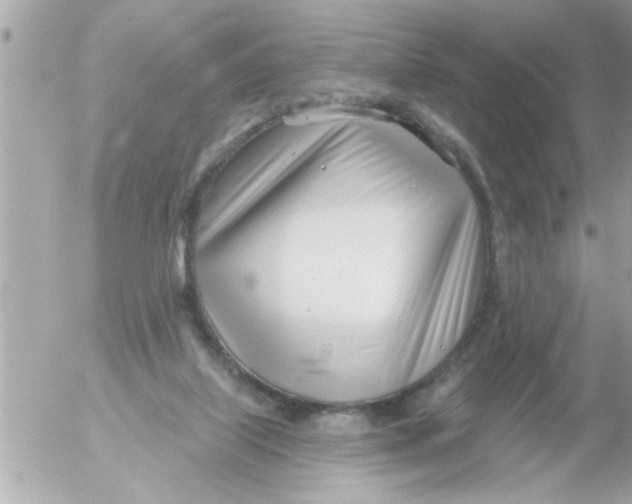 X0000054420067200508262332