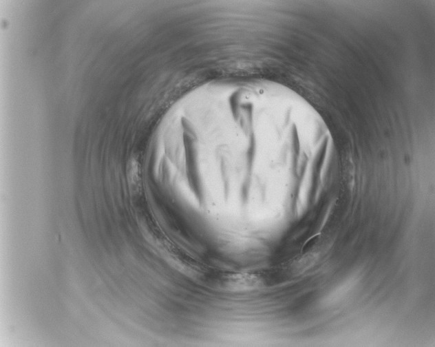 X0000054420087200508262333