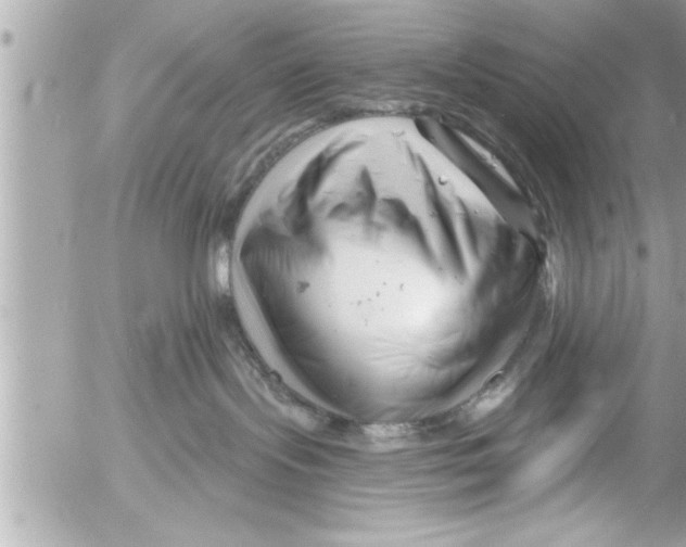 X0000054420095200508262333