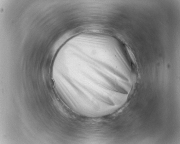 X0000054420099200508262332