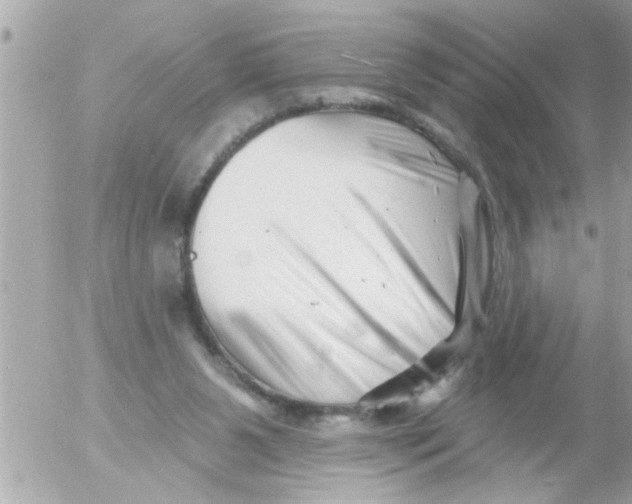 X0000054420111200508262332