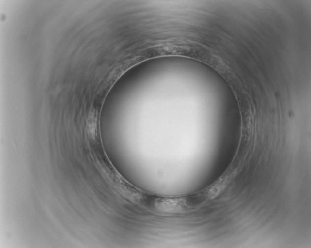 X0000054420129200508262332