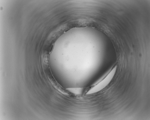 X0000054420137200508262332