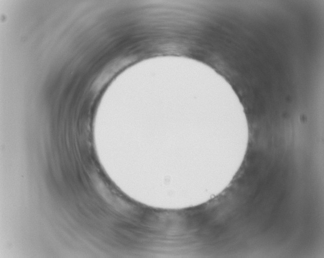 X0000054420146200508262331