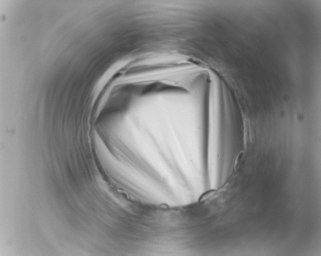 X0000054420147200508262331