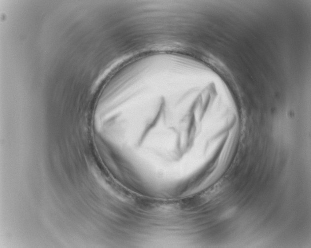 X0000054420155200508262331
