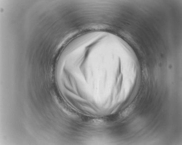 X0000054420159200508262331