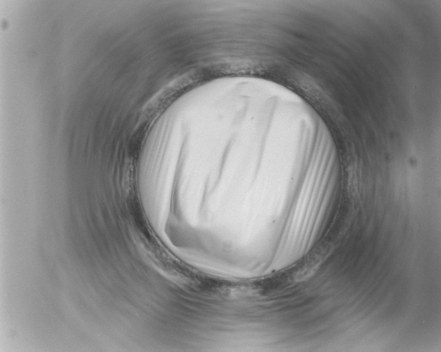 X0000054420165200508262331
