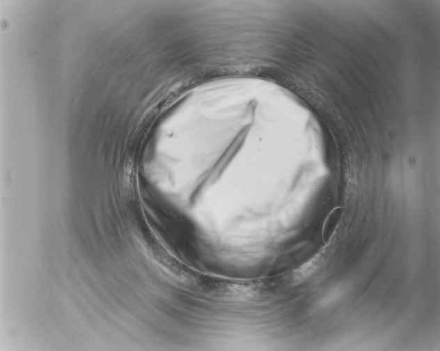 X0000054420166200508262331