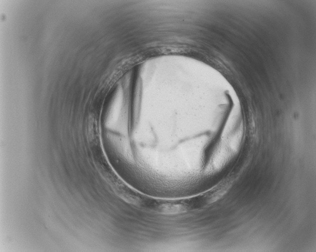X0000054420169200508262331