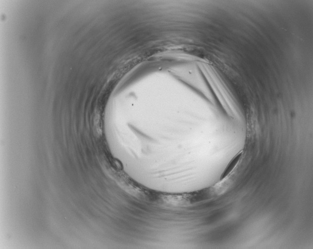 X0000054420187200508262331