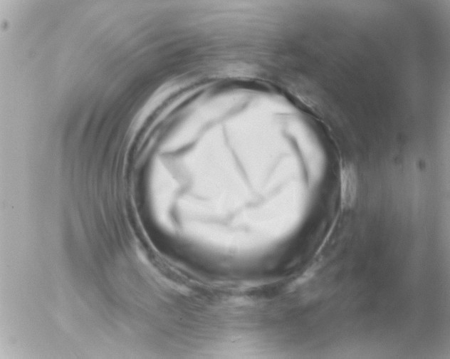 X0000054420195200508262331