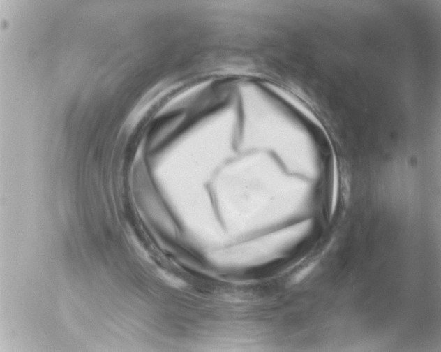 X0000054420199200508262330