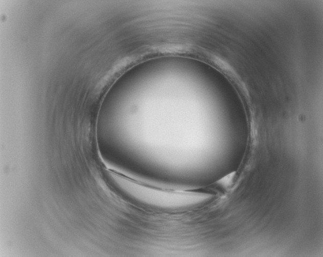 X0000054420201200508262330