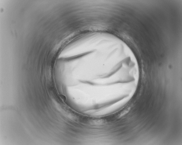 X0000054420202200508262330