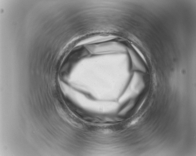 X0000054420203200508262330