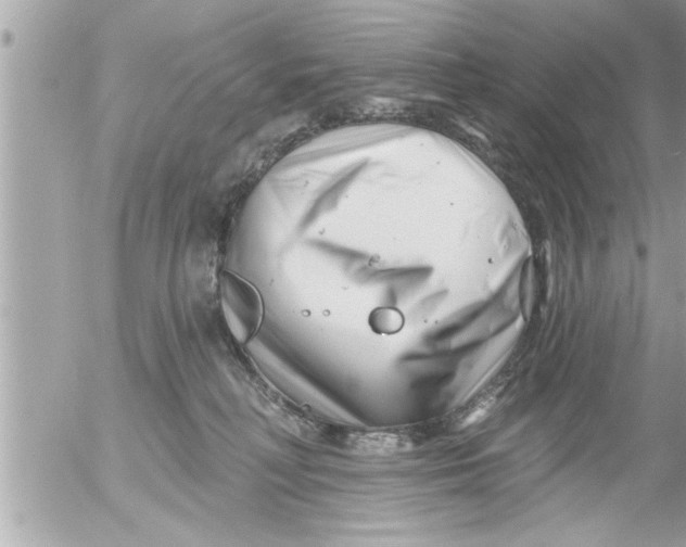 X0000054420230200508262330