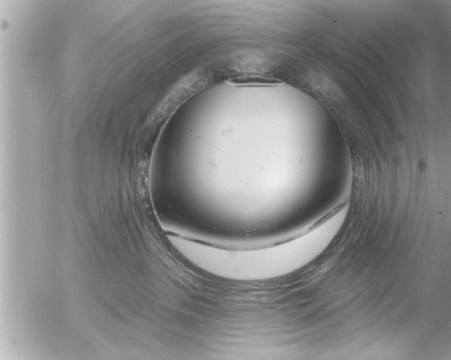 X0000054420237200508262330