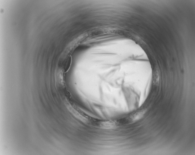 X0000054420238200508262330
