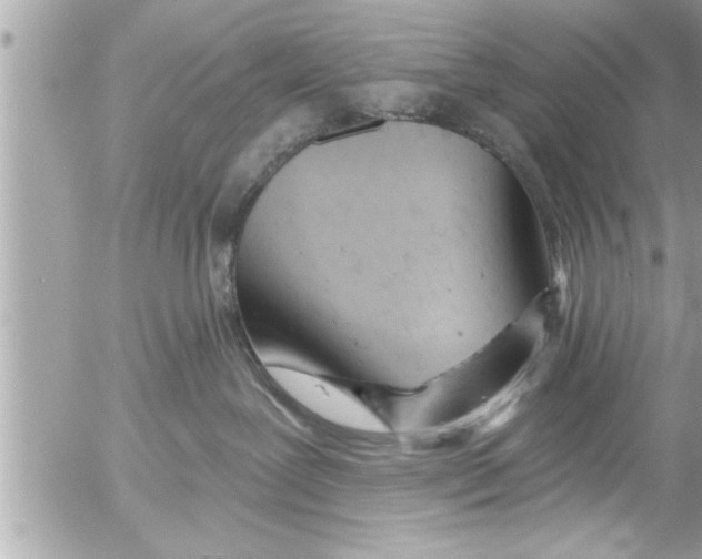 X0000054420239200508262330