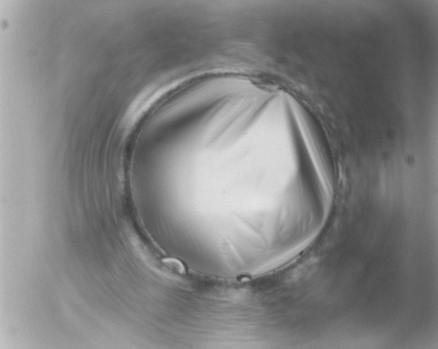 X0000054420247200508262329