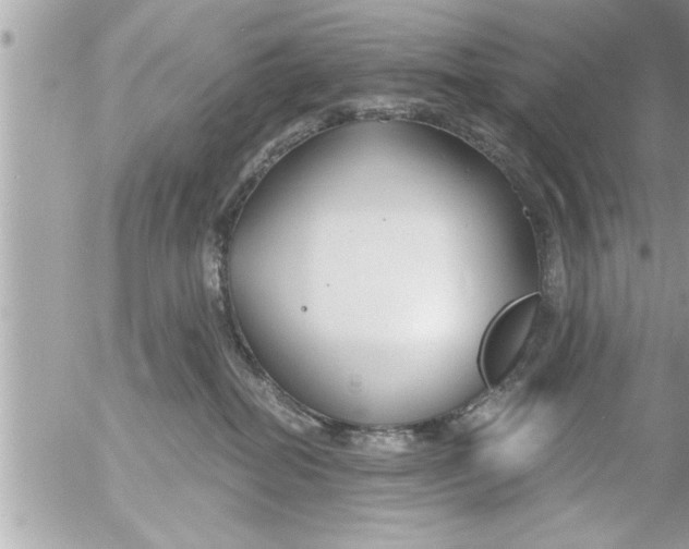 X0000054420282200508262330